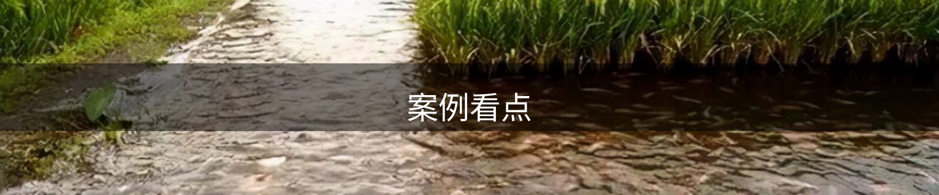 案例看点